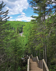 Judge C.R. Magney State Park