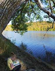 Judge C.R. Magney State Park