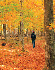 Outdoor fall hikes in Minnesota